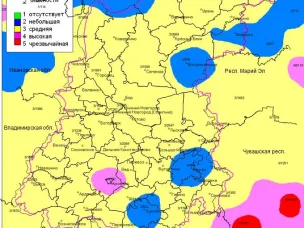 Пожароопасность 11.06.2024г.