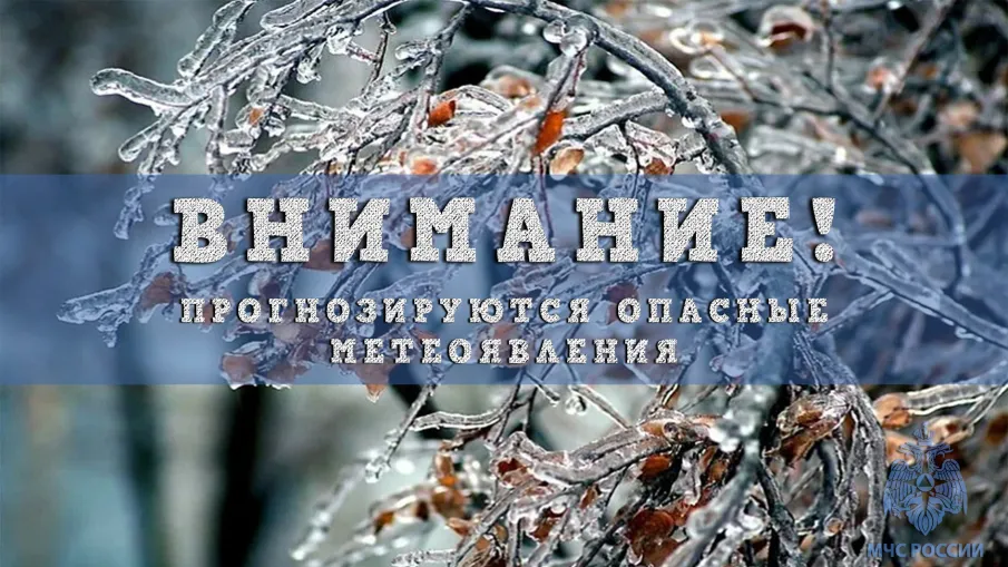 Экстренное предупреждение. В ближайший 1 час 15 ноября 2025 г. местами по Нижегородской области ожидается сильное отложение мокрого снега, гололед, в отдельных районах ледяной дождь с сохранением ночью и утром 16 ноября 2025г.