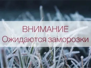 Экстренное предупреждение о вероятности возникновения ЧС на территории Нижегородской области на 9-12 мая 2024г. (заморозки)