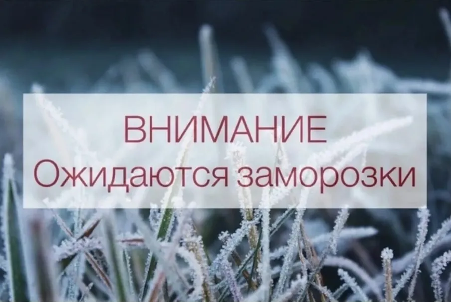 Экстренное предупреждение о вероятности возникновения ЧС на территории Нижегородской области на 9-12 мая 2024г. (заморозки)
