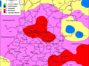 По данным ФГБУ «Верхне-Волжское УГМС», 18.07.2024 на территории г.о.г. Чкаловск установился полностью 4-й класс пожароопасности лесов и торфяников.