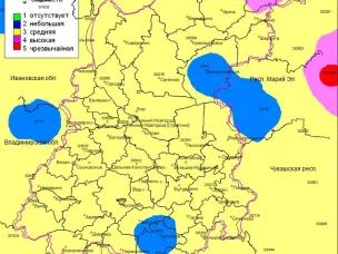 Пожароопасность на 29.06.2024г.