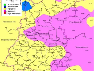 Пожароопасность на 09.07.2024г.