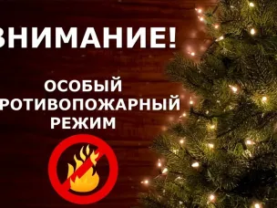 Об установление на территории Нижегородской области особого противопожарного режима с 25 декабря 2025 года по 11 января 2026 года