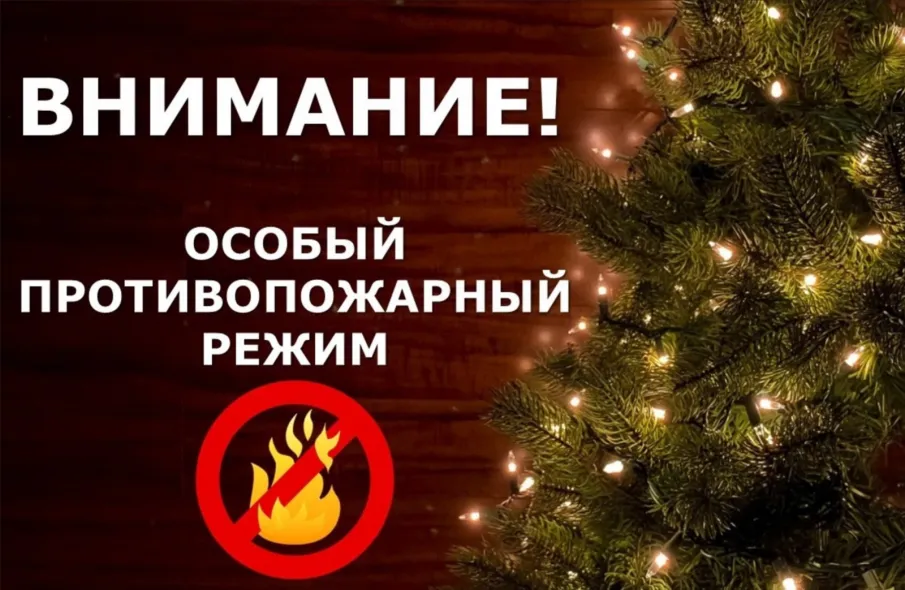 Об установление на территории Нижегородской области особого противопожарного режима с 25 декабря 2025 года по 11 января 2026 года