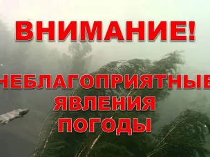 Экстренное предупреждение о вероятности возникновения ЧС на территории Нижегородской области на 14 марта 2025г. (порывы ветра 15-20 м/с)