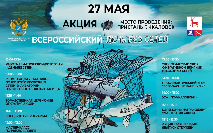 Всероссийский день без сетей!